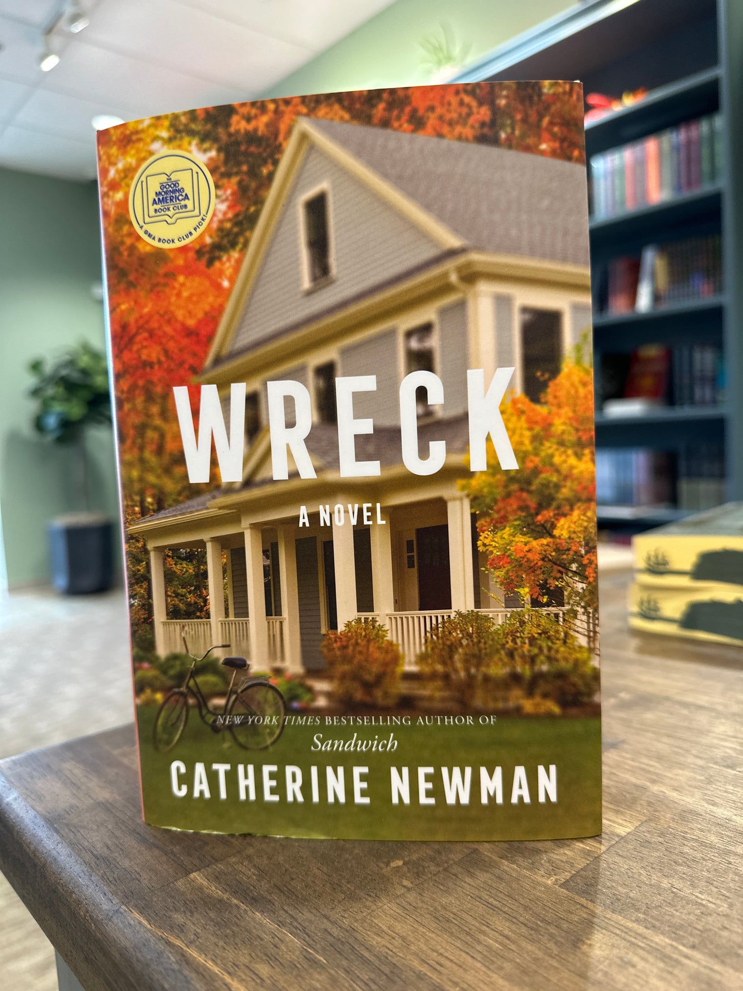 Wreck: A Novel