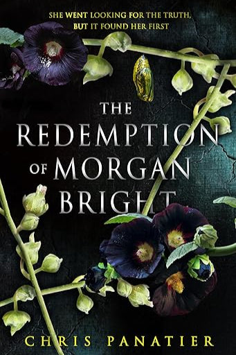 The Redemption of Morgan Bright image 0
