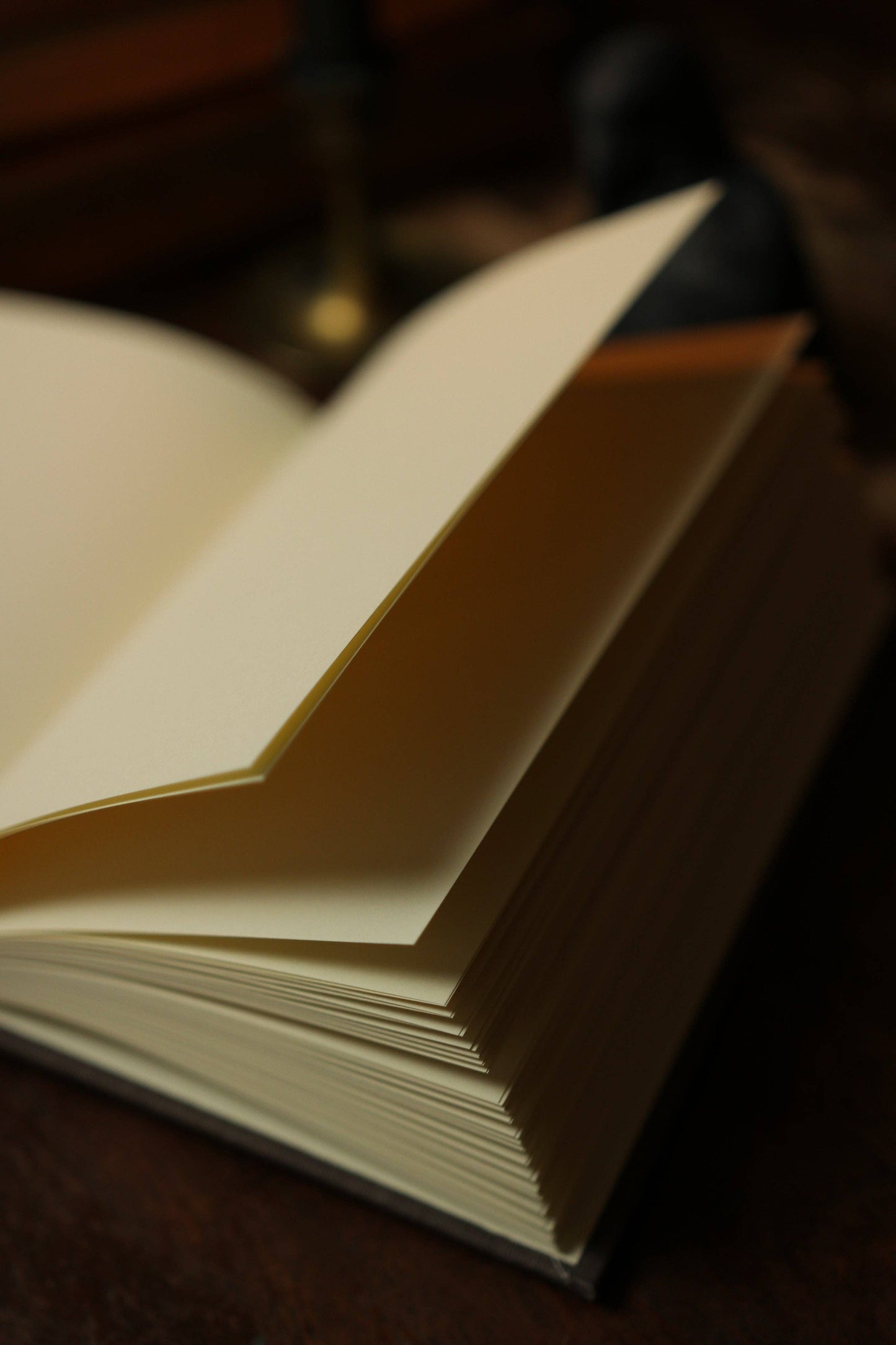 *The Complete Poetical Works of Edgar Allan Poe 1884 Book Journal