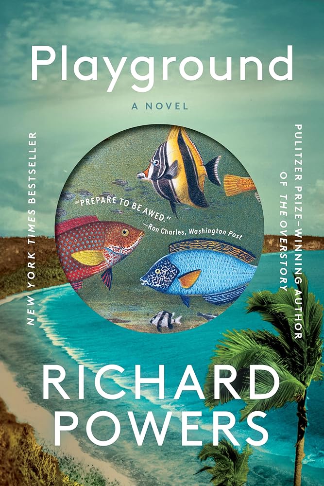 Playground: A Novel cover image