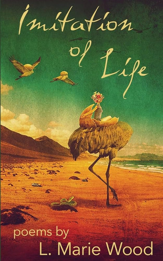 Imitation of Life cover image