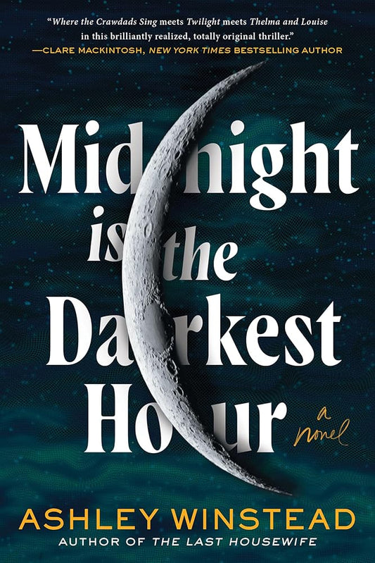 Midnight Is the Darkest Hour: A Novel cover image