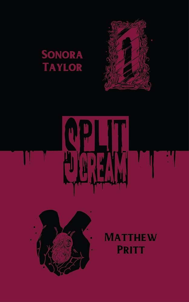 Split Scream: Cursed Places cover image