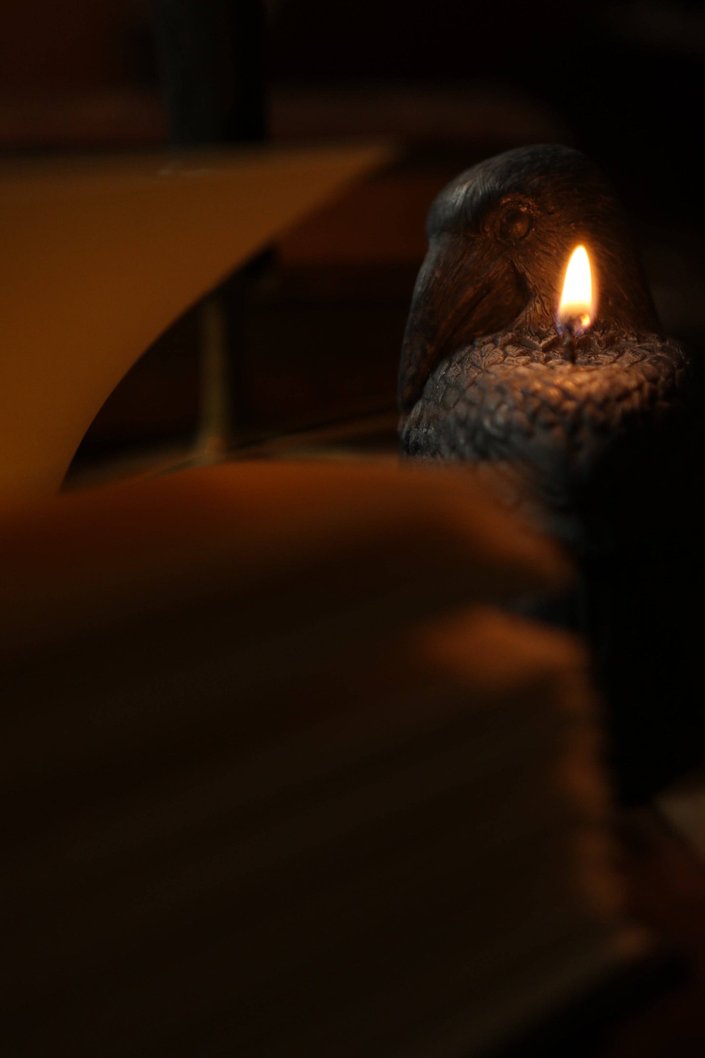 *The Complete Poetical Works of Edgar Allan Poe 1884 Book Journal