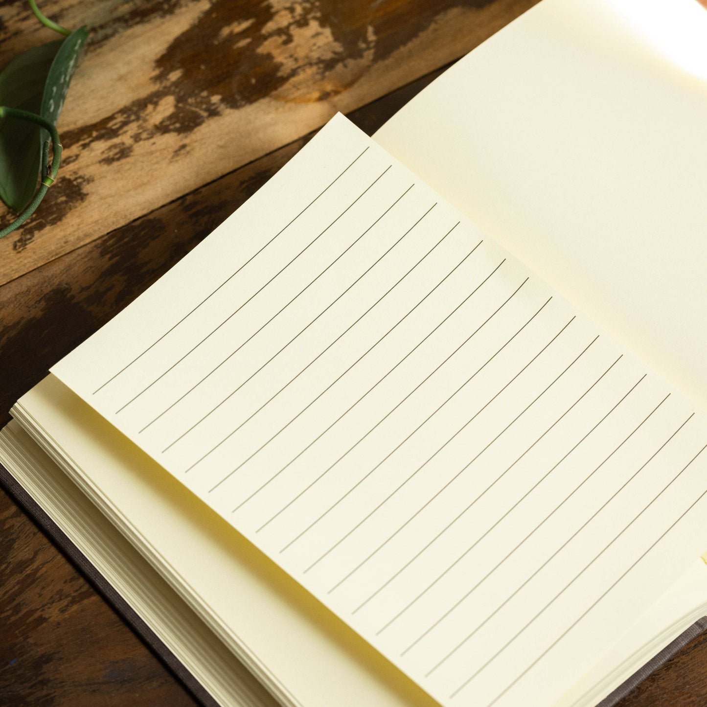 *The Complete Poetical Works of Edgar Allan Poe 1884 Book Journal